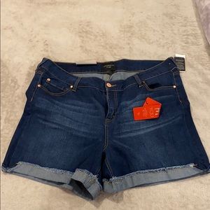 Celebrity Pink Plus Size Denim Shorts